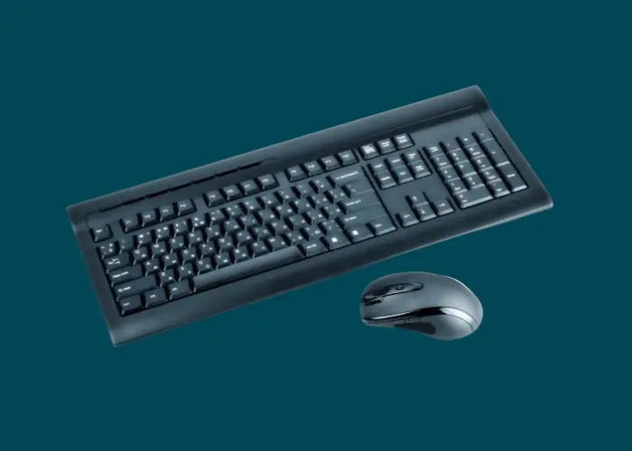 Keyboard mouse